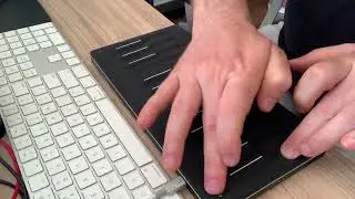 Roli Seaboard Block M Test