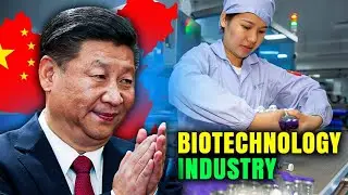 China's Biotechnology Industry Advancements and Impact on Healthcare #china #biotechnology