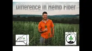 the Difference in Hemp Fiber