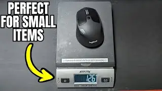 ACCUTECK Digital Scale Review - Is It Accurate?