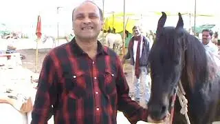 Sarangkheda  Chetak Festival  Dec 2021