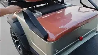 Electric Golf Cart Walk Around