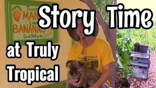 Story Time at Truly Tropical!