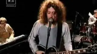 Tosteer Parasite(live)