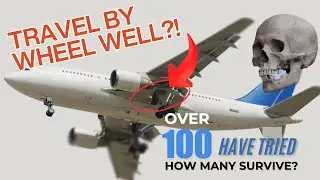 Desperate Measures in Air Travel - How Many Survive The Wheel Well