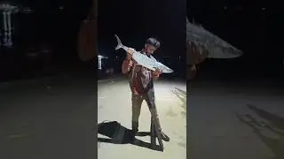 fishing manori big rock  surmai