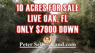 10 Acres Vacant For Sale - Live Oak, Florida (Suwannee County) - PeterSellsLand.com