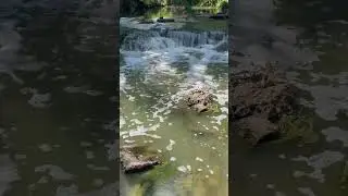 East Amarillo Creek Hidden Falls