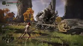Elden Ring - Erdtree Avatar (Liurnia #2) - No Damage/Sem Levar Hit [Solo/Melee]