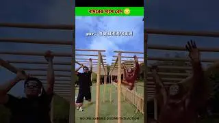 Race with the monkey 😳