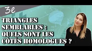 Triangles Semblables - Quels sont les c&ocirc;t&eacute;s homologues ?