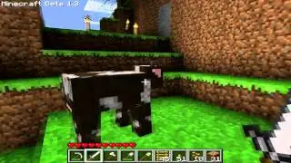 Minecraft Beta 1.3 Gameplay Maxed Out [PC HD]