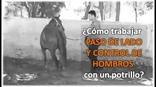 Arrendando Caballos- v7- ¿Cómo trabajar Paso de lado y control  hombros?