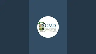Concejo Municipal Distrito de Cervantes está en vivo