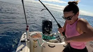 Reef Fishing with LIVE Bait