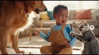 friends are bandits🤠🤣@#baby#cat#dog#nicethreesome#fanuvideo