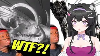 ANIMALS SCR*WED OVER BY NATURE! | Vtuber Reacts!