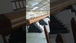 Teak ll Big Teak #shorts #viral #trending #youtubeshorts#tectonagrandis