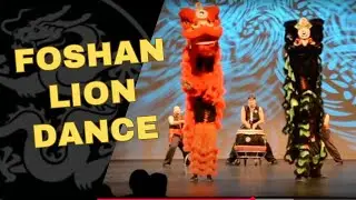 White Dragon Martial Arts - Chinese Lion Dance Tutorial Exhibition 2018