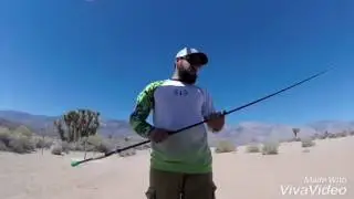 Carrot stix wild wild black