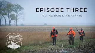 Rooster Road Trip XII &mdash; Эпизод 3: Проливной дождь и фазаны