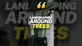 Mini Excavators Explained The Little Machines with Big Power!
