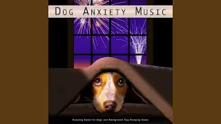 The Best Dog Music