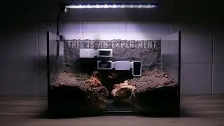 🦀 MAKING A CLAY BACKGROUND ECOSYSTEM FOR VAMPIRE CRABS (FILTER LESS)