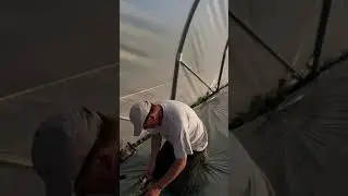 CONSTRUCȚIE SOLAR