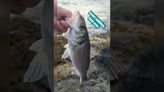 When the conditions are good, but the fishing is tough.