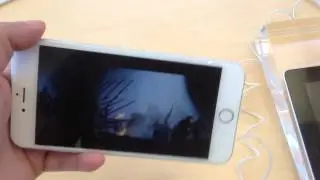 IPhone 6 Plus / 6 / Gold / Silver / Space Grey Comparison