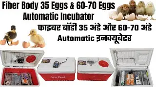 फाइबर बॉडी 35 और 60-70 अंडे Automatic इनक्यूबेटर | Fiber Body 35  & 60-70 Eggs Automatic Incubator