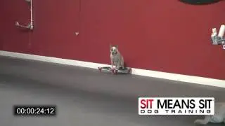 Sit Means Sit Games Western Regionals | SitMeansSit.com