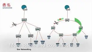 PTN Networking