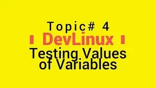 Bash Shell Scripting - Topic# 4 - Testing Values of Variables