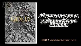 Золотая лихорадка Бразилии в книге-портфолио Себастьяна Сальгадо#historical #facts #shorts