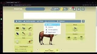 Howrse : Blup de raças 1# ( Quarto de Milha ) ( Ler descrição )