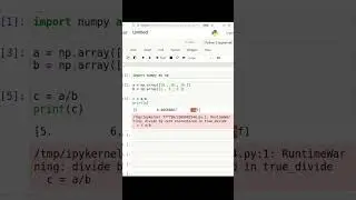 NumPy division with zero divisor