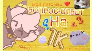 ВОПРОС-ОТВЕТ НА 1К!!!