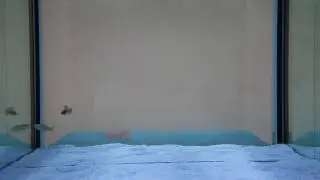Real-time interactive virtual 3D fish following real test fish