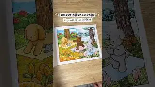 what&rsquo;s your favourite season? 4 seasons coloring challenge finally complete!! i&rsquo;m so proud 🌷❄️🍁☀️