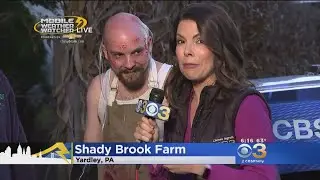 Frightening Fun At Shady Brook Farm's Haunted Houses