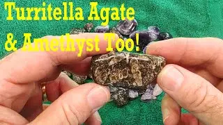 What Am I Tumbling Today? Turritella Agate #thefinders #rocktumbling #rockhounding
