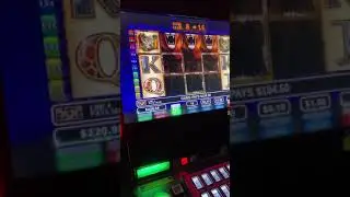 Wild life slot 3 wilds big win