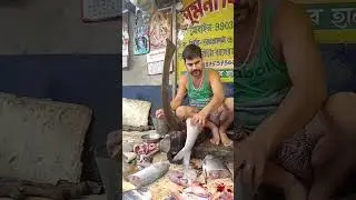 amazing big Gurjali fish|super cutting skills by excellent fish cutting in_ fish Market thakur pukur