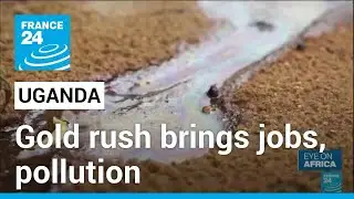 Uganda gold rush brings lucrative jobs and dangerous pollution &bull; FRANCE 24 English