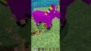 Why do Unicorns Hate Witches?? #minecraft