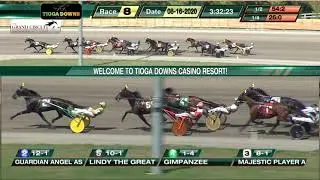 Guardian Angel AS - 2020 Crawford Farms Trot - Tioga Downs