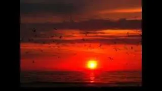 Sarah Winton - Sunrise (Produced By Blazeitdown)