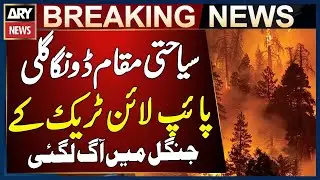 Fire breaks out in the forest of the popular tourist spot Donga Gali pipeline Track - Abbottabad